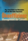 Image for Okoeffizienz: Management der Zukunft