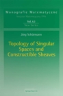 Image for Topology of Singular Spaces and Constructible Sheaves