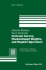 Image for Carleson Curves, Muckenhoupt Weights, and Toeplitz Operators