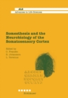 Image for Somesthesis and the Neurobiology of the Somatosensory Cortex