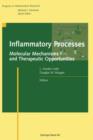 Image for Inflammatory Processes: : Molecular Mechanisms and Therapeutic Opportunities