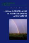 Image for Liminal borderlands in Irish literature and culture : 9