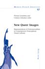Image for New Queer Images: Representations of Homosexualities in Contemporary Francophone Visual Cultures