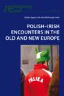 Image for Polish-Irish encounters in the old and new Europe : v. 39