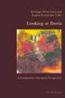 Image for Looking at Iberia: A Comparative European Perspective : 56
