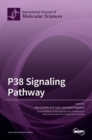 Image for P38 Signaling Pathway