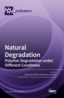 Image for Natural Degradation : Polymer Degradation under Different Conditions