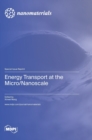 Image for Energy Transport at the Micro/Nanoscale