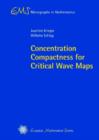 Image for Concentration Compactness for Critical Wave Maps