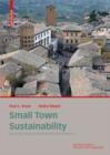 Image for Small town sustainability: economic, social, and environmental innovation