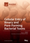 Image for Cellular Entry of Binary and Pore-Forming Bacterial Toxins