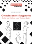 Image for Gemeinsames Sorgerecht: Rechte und Pflichten - zum Wohl des Kindes