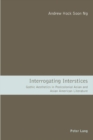 Image for Interrogating Interstices