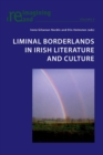 Image for Liminal borderlands in Irish literature and culture