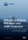 Image for Efficiency of Bank Filtration and Post-Treatment