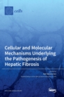 Image for Cellular and Molecular Mechanisms Underlying the Pathogenesis of Hepatic Fibrosis