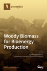 Image for Woody Biomass for Bioenergy Production