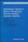 Image for Semiclassical Analysis Wavelets, Operator Algebras, Markov Semigroups