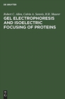 Image for Gel Electrophoresis and Isoelectric Focusing of Proteins : Selected Techniques