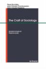 Image for The Craft of Sociology : Epistemological Preliminaries