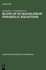 Image for Blow-Up in Quasilinear Parabolic Equations