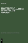 Image for Semigroups in Algebra, Geometry and Analysis