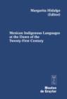 Image for Mexican Indigenous Languages at the Dawn of the Twenty-First Century