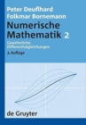 Image for Numerische Mathematik, [Band] 2, Gewohnliche Differentialgleichungen
