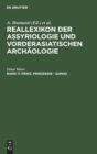 Image for Reallexikon der Assyriologie Und Vorderasiatischen Archaologie