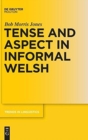Image for Tense and Aspect in Informal Welsh
