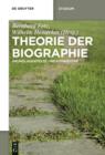 Image for Theorie der Biographie: Grundlagentexte und Kommentar