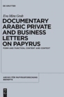 Image for Documentary Arabic Private and Business Letters on Papyrus : Form and Function, Content and Context