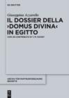 Image for Il dossier della &quot;domus divina&quot; in Egitto