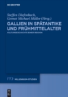 Image for Gallien in Spatantike und Fruhmittelalter: Kulturgeschichte einer Region
