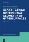 Image for Global affine differential geometry of hypersurfaces