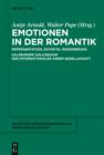 Image for Emotionen in der Romantik: Reprasentation, Asthetik, Inszenierung. Salzburger Kolloquium der Internationalen Arnim-Gesellschaft : 9