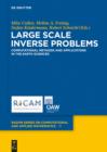 Image for Large Scale Inverse Problems: Computational Methods and Applications in the Earth Sciences