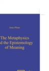 Image for The Metaphysics and the Epistemology of Meaning