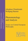 Image for Phenomenology &amp; Analysis : Essays in Central European Philosophy
