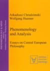 Image for Phenomenology &amp; Analysis: Essays in Central European Philosophy