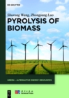 Image for Pyrolysis of Biomass : 1