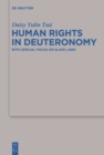 Image for Human Rights in Deuteronomy: With Special Focus on Slave Laws