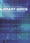 Image for Smart grids: multi-objective optimization in dispatching
