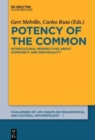 Image for Potency of the common  : intercultural perspectives about community and individuality