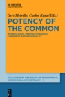 Image for Potency of the common: intercultural perspectives about community and individuality