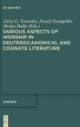 Image for Various Aspects of Worship in Deuterocanonical and Cognate Literature