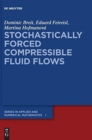 Image for Stochastically Forced Compressible Fluid Flows