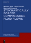 Image for Stochastically Forced Compressible Fluid Flows : 3