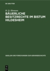 Image for Bauerliche Besitzrechte Im Bistum Hildesheim