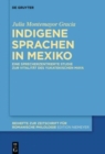 Image for Indigene sprachen in Mexiko  : eine sprecherzentrierte studie zur vitalitèat des yukatekischen Maya